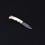 Lock Back Folding Knife // Series 2 // CK-3032