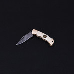 Lock Back Folding Knife // Series 2 // CK-3032