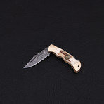 Lock Back Folding Knife // Series 2 // CK-3033