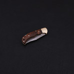 Lock Back Folding Knife // Series 3 // CK-3061