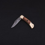 Lock Back Folding Knife // Series 4 // CK-3091