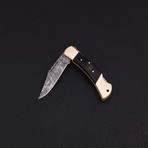 Lock Back Folding Knife // Series 4 // CK-3092