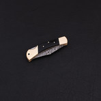 Lock Back Folding Knife // Series 4 // CK-3092