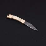 Lock Back Folding Knife // Series 4 // CK-3093