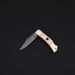 Lock Back Folding Knife // Series 4 // CK-3093