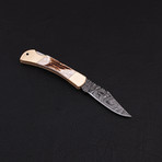 Lock Back Folding Knife // Series 4 // CK-3094