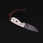 Hunting Knife // Series 1 // CK-4013