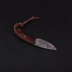 Hunting Knife // Series 2 // CK-4021