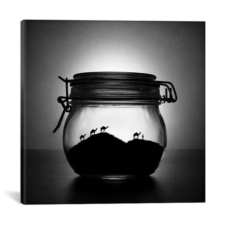 A Jar Of Sugar Sand // Victoria Ivanova (18"W x 18"H x 0.75"D)