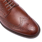 Nielson Shoe // Brown (Euro: 40)