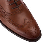 Hewitt Shoe // Brown (Euro: 43)