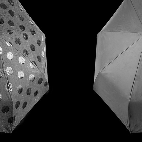 Magic Polka Dot Umbrella