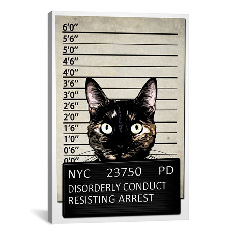 Kitty Mugshot