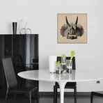 Triceratops Skull Anatomy // Unknown Artist (18"W x 18"H x 0.75"D)