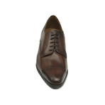 Angello Derby // Brown (Euro: 41)