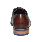 Cesare Derby // Brown (Euro: 40)