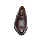 Ernesto Oxford // Brown (Euro: 44)