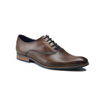 Gilberto Oxford // Brown (Euro: 45)