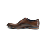 Gilberto Oxford // Brown (Euro: 44)