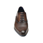 Gilberto Oxford // Brown (Euro: 41)