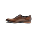 Antonio Oxford // Brown (Euro: 45)