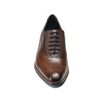 Antonio Oxford // Brown (Euro: 39)