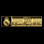 Zinedine Zidane // Signed Soccer Ball (Without Display)