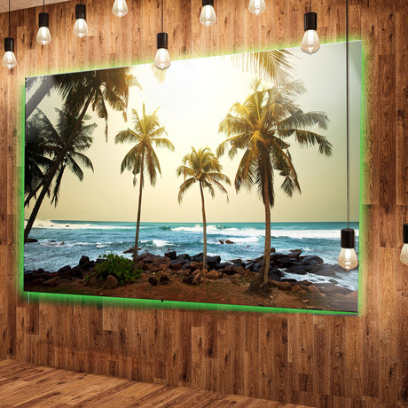 Rocky Tropical Beach + Palms