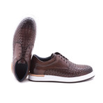 Casal // Brown (Euro: 41)