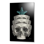 Skull (16"W x 24"H x 1.5"D // Stretched Canvas)