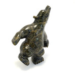 Dancing Bear // Moe Papigatok