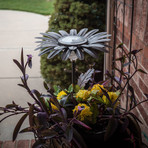 Daisy Solar Light // Bronze