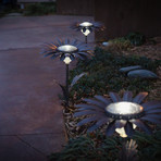 Daisy Solar Light // Bronze