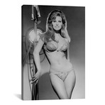 Raquel Welch Posing In Lingerie // Globe Photos, Inc.