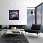 Bald Eagle Portrait America, Square (18"W x 18"H x 0.75"D)