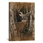 Birchwood Buck, Vertical (18"W x 26"H x 0.75"D)