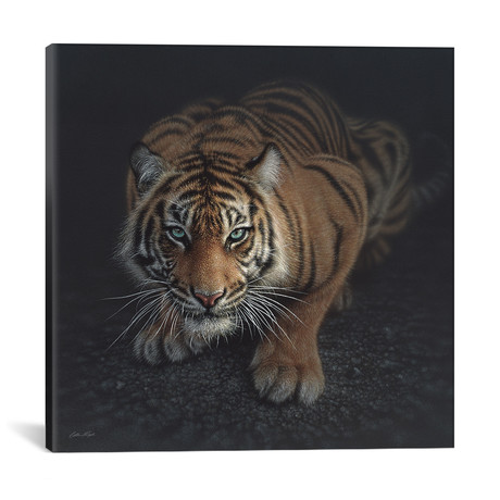 Crouching Tiger, Square (18"W x 18"H x 0.75"D)