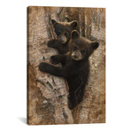 Curious Cubs, Vertical (18"W x 26"H x 0.75"D)