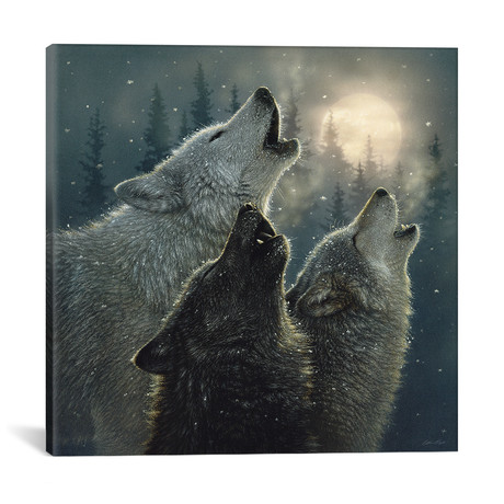 Howling Wolves In Harmony, Square // Collin Bogle (18"H x 18"W x 0.75"D)