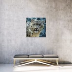 Snow Leopard, Square (18"W x 18"H x 0.75"D)