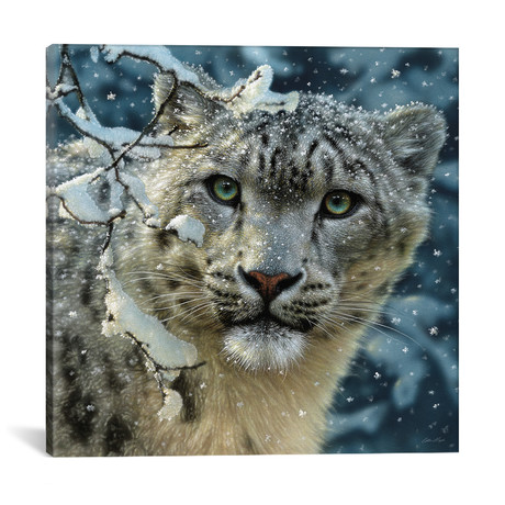 Snow Leopard, Square (18"W x 18"H x 0.75"D)