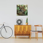 Tree Hugger, Square (18"W x 18"H x 0.75"D)