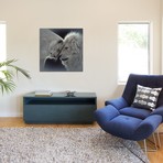 White Lion Love, Square (18"W x 18"H x 0.75"D)