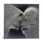 White Lion Love, Square (18"W x 18"H x 0.75"D)