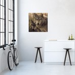 Woodland Companions, Square