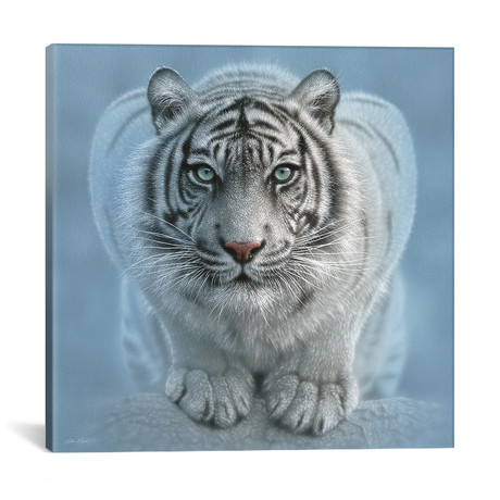 Wild Intentions, Square (18"W x 18"H x 0.75"D)