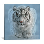 Wild Intentions, Square (18"W x 18"H x 0.75"D)