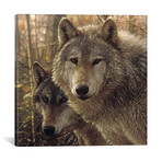 Woodland Companions, Square