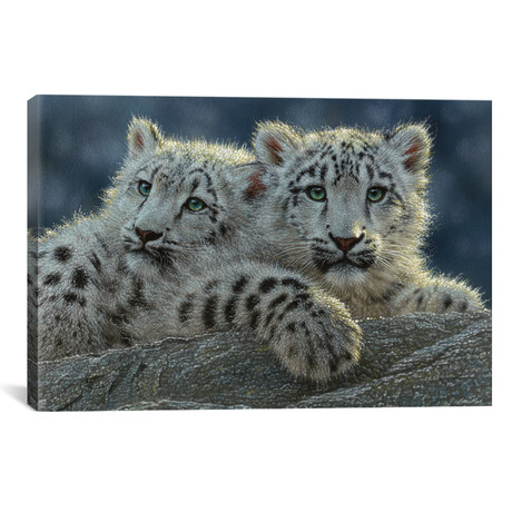 Snow Leopard Cubs, Horizontal (26"W x 18"H x 0.75"D)