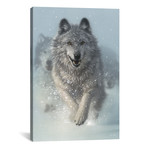 Snow Plow, Vertical (18"W x 26"H x 0.75"D)